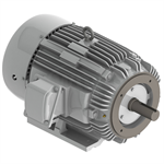 EP0206C Teco-Westinghouse 20HP Cast Iron Electric Motor, 1200 RPM