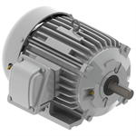EP00265 Teco-Westinghous 2 HP Cast Iron Electric Motor, 1200 RPM
