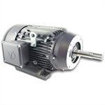 XR3-AL-TF-143JM-2-B-D-1.5 Techtop 1.5HP Electric Pump Motor, 3600RPM