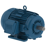 00512ET3E215T-W22 WEG 5HP Severe Duty Electric Motor, 1200RPM