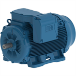 13209ET3Y315L-W22 WEG 175HP/132kW IEC Tru-Metric Electric Motor, 900RPM