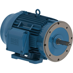 03018ET3E286JM-W22 WEG 30HP JM Close Coupled Pump Electric Motor, 1800RPM