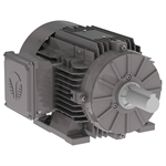 GX3-AL-TF-145T-6-B-D-1 Techtop 1HP Cast Aluminum Electric Motor, 1200RPM