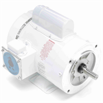 113583.00 Leeson 1HP Washguard Electric Motor, 3450RPM