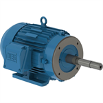00312ET3E213JP-W22 WEG 3HP JP Close Coupled Pump Electric Motor, 1200RPM