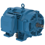 12536OT3G404TS-RFVFD WEG 125HP Refrigeration Electric Motor, 3600RPM