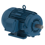 00309ET3E215T-W22 WEG 3HP Severe Duty Electric Motor, 900RPM