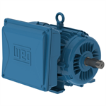 00336ES1E182T-W22 WEG 3HP Electric Motor, 3600RPM