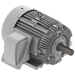EP606 Teco-Westinghous 60 HP Cast Iron Electric Motor, 1200 RPM