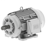 01512ES3EOW284T-W22 WEG 15HP Oil Well Pump Electric Motor, 1200RPM