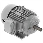 EP00585 Teco-Westinghouse 5HP Cast Iron Electric Motor, 900 RPM