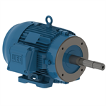 00512ET3E215JP-W22 WEG 5HP JP Close Coupled Pump Electric Motor, 1200 RPM