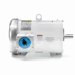 132205.00 Leeson Washguard Motor, 7.5 HP, 3600 RPM