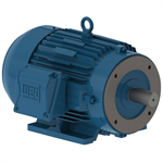 00218ET3E145TC-W22 WEG 2HP Severe Duty Electric Motor, 1800RPM