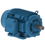 10012ET3H444T-W22G WEG 100HP General Purpose Electric Motor, 1200RPM