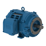 01012OT3E256TC-W40 WEG 10HP, General Purpose Electric Motor, 1200RPM