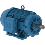 04036ET3H324TS-W22G WEG 40HP General Purpose Electric Motor, 3600RPM