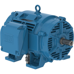 15036OT3G405TS-RFVFD WEG 150HP Refrigeration Electric Motor, 3600RPM