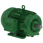 00312EG3E213T-W22 WEG 3HP Electric Motor, 1200RPM