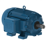 04012XT3H364T WEG 40HP Explosion Proof Electric Motor, 1200RPM