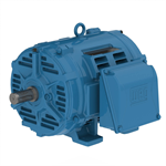 02518OT3E284TF2-W40 WEG 25HP, General Purpose Electric Motor, 1800RPM