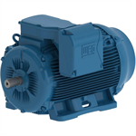 07509ET3Y315S/M-W22 WEG 100HP/75kW IEC Tru-Metric Electric Motor, 900RPM