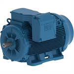 07509ET3Y315S/M-W22 WEG 100HP/75kW IEC TRU-Metric Electric Motor, 900RPM