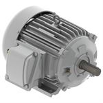 EP00365 Teco-Westinghous 3 HP Cast Iron Electric Motor, 1200 RPM