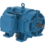 10018OT3GRB404T-W40 WEG 100HP, General Purpose Electric Motor, 1800RPM