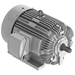 EP0754 Teco-Westinghouse 75 HP Cast Iron Electric Motor, 1800 RPM