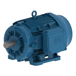 01518ET3Y160L-W22 WEG 20HP/15kW IEC TRU-Metric Electric Motor, 1800RPM