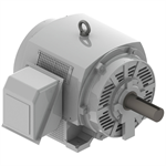 DHP1006 Teco-Westinghouse 100HP Cast Iron Electric Motor, 1200 RPM