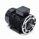 R399A Marathon 3HP/2.2kW IEC Metric Globetrotter Electric Motor, 3600RPM