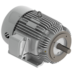 EP0154C Teco-Westinghouse 15HP Cast Iron Electric Motor, 1800 RPM