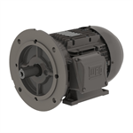 .5518EP3EAL80FF-W22 WEG 0.75HP/0.55kW IEC TRU-Metric Electric Motor, 1800RPM