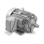 EP0012 1 HP Teco-Westinghouse Cast Iron Electric Motor, 3600 RPM