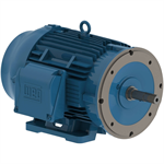 02536ET3E284JM-W22 WEG 25HP JM Close Coupled Pump Electric Motor, 3600RPM