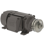 00518ES3ESA90LL WEG 5HP Saw Arbor Electric Motor, 1800RPM