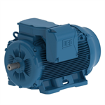 09012ET3Y315S/M-W22 WEG 125HP/90kW IEC TRU-Metric Electric Motor, 1200RPM