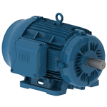 05036ET3E326TS-W22G WEG 50HP Severe Duty Electric Motor, 3600RPM