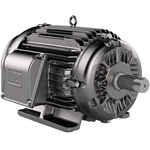 00736EU3E213T-SYNC WEG 7.5HP SYNC+ IE5 Electric Motor, 3600RPM
