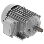 EP00385 Teco-Westinghous 3HP Cast Iron Electric Motor, 900 RPM