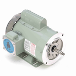 119228.00 1HP Leeson Milk Pump Motor