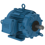 00718ET3ECT213TF1-WG WEG 7.5HP Cooling Tower Electric Motor, 1800RPM