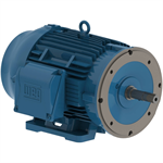 03012ET3E326JM-W22 WEG 30HP JM Close Coupled Pump Electric Motor, 1200RPM
