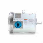 132439.00 Leeson Washguard Motor, 3 HP, 1800 RPM