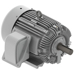 EP06085 Teco-Westinghouse 60 HP Cast Iron Electric Motor, 900 RPM