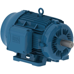 04018ET3V324T-W22G WEG 40HP Severe Duty Electric Motor, 1800RPM
