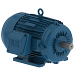 00209ET3E213T-W22 WEG 2HP Severe Duty Electric Motor, 900RPM