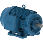 02536ET3H284TS-W22G WEG 25HP Severe Duty Electric Motor, 3600RPM